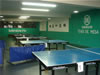 Tenis de mesa