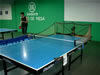 Tenis de mesa